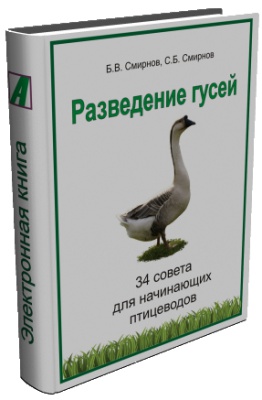 Разведение гусей. 34 советов для начинающих птицеводов